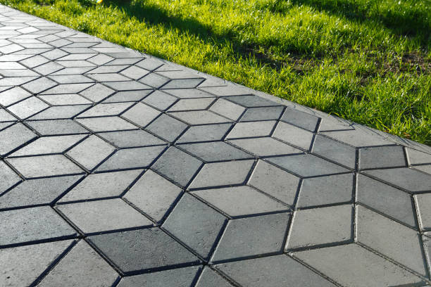 Best Concrete Paver Driveway  in Agler Estates, FL
