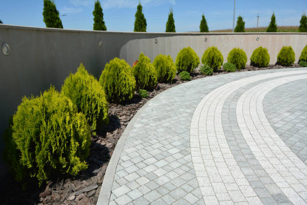 Best Driveway Pavers Near Me  in Agler Estates, FL