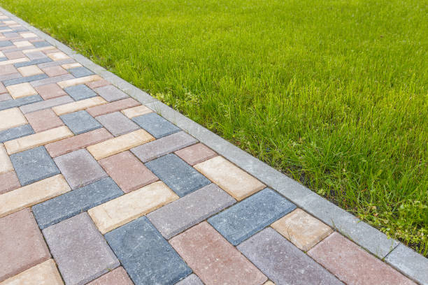 Best Cobblestone Driveway Pavers  in Agler Estates, FL
